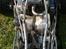 Bil FG Beetle PRO (SOLGT)