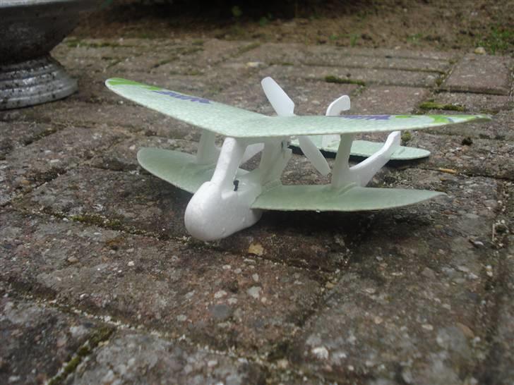 Fly Palm-Z billede 1