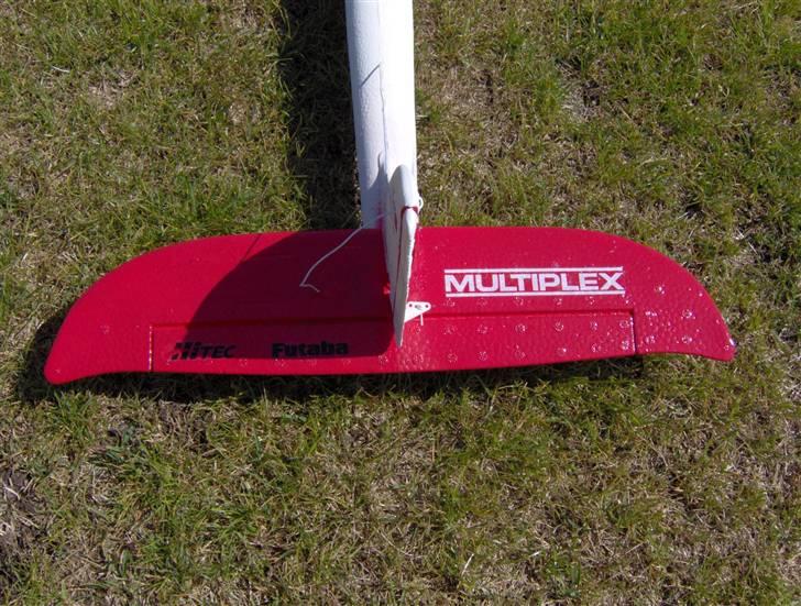 Fly Multiplex Easystar billede 5