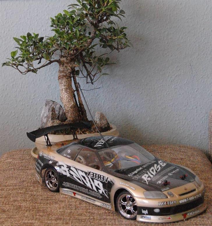 Bil GM - Tc4  DRIFT billede 3