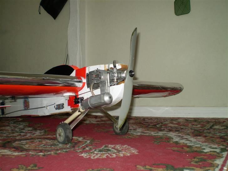 Fly Tribute, *opstået igen* og DØD billede 6