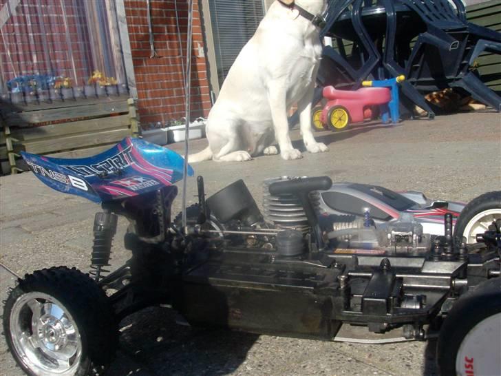 Buggy Tamyia Mad Spirit billede 6