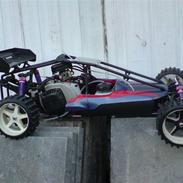 Buggy xrc v2 beetle