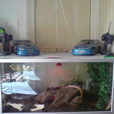 Bil Bil Kyosho GP3 SOLGT 