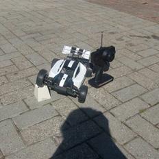 Buggy Backwash- (SOLGT!) 