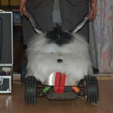 Off-Roader fg/carsom (hunden)solgt