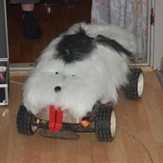 Off-Roader fg/carsom (hunden)solgt