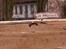 Off-Roader HB Lightning stadium2Pro
