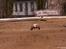 Off-Roader HB Lightning stadium2Pro