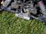 Buggy FG Marder