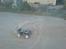 Off-Roader E-maxx Brushless