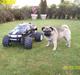 Off-Roader FG monster-truck Solgt