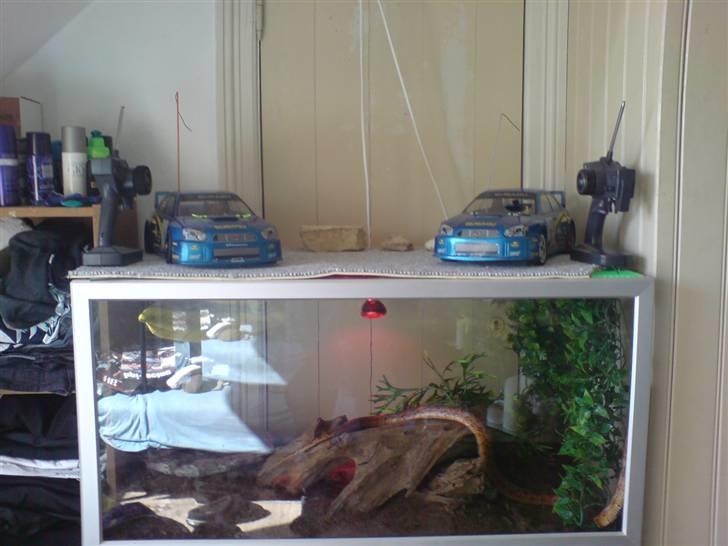 Bil Bil Kyosho GP3 SOLGT  billede 3