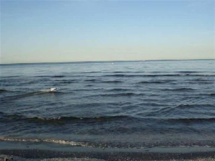 Båd EP RACING BOAT billede 17