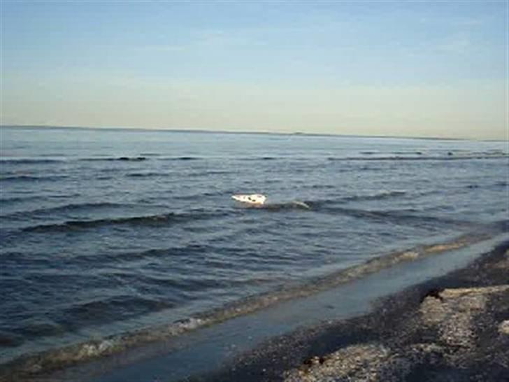 Båd EP RACING BOAT - troede sku det var en båd jeg havde købt og ik et fly :P  billede 18