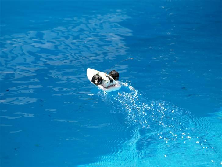 Båd Micro -Jet Boat (ødelagt) billede 16