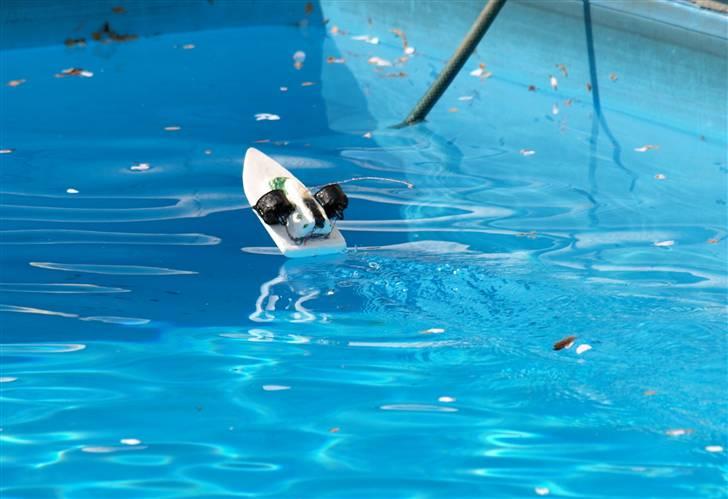 Båd Micro -Jet Boat (ødelagt) - den er svær at holde på vandet... billede 19