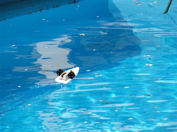 Båd Micro -Jet Boat (ødelagt) billede 20