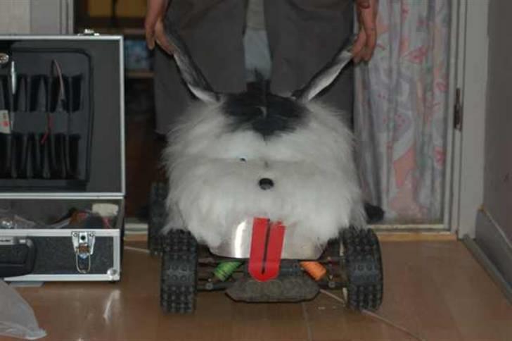 Off-Roader fg/carsom (hunden)solgt billede 1
