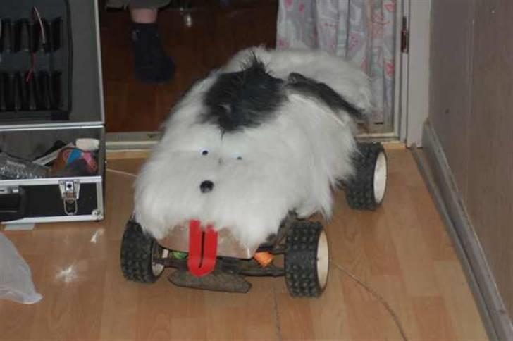 Off-Roader fg/carsom (hunden)solgt billede 3