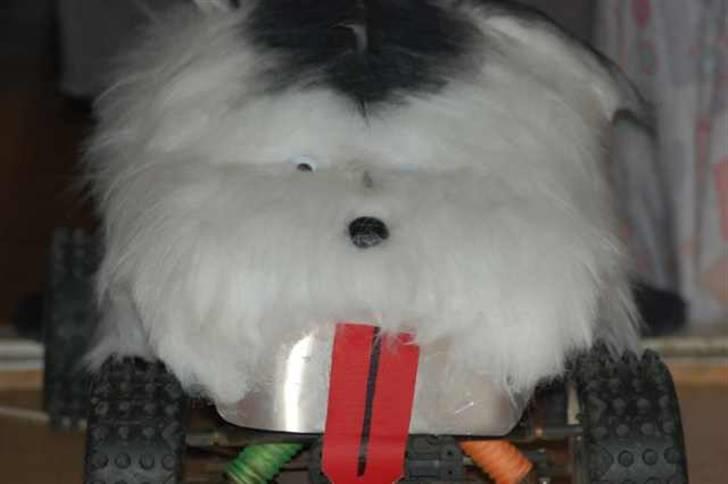 Off-Roader fg/carsom (hunden)solgt billede 4