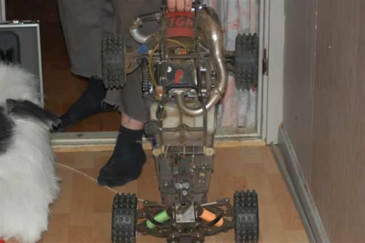 Off-Roader fg/carsom (hunden)solgt billede 6