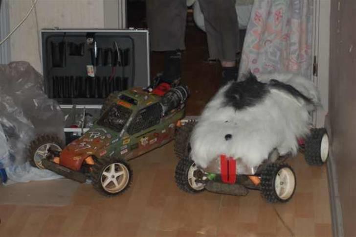 Off-Roader fg/carsom (hunden)solgt billede 7