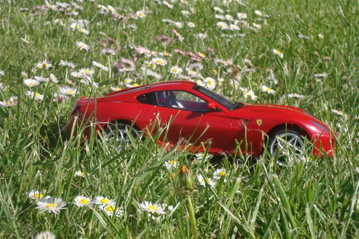 Bil Ferrari   billede 5