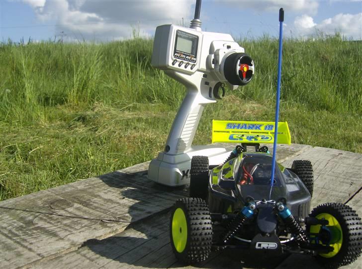 Buggy LRP shark 18 factory team billede 9