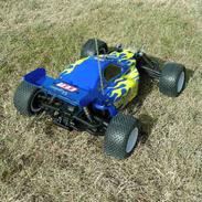 Buggy CEN Talon NX