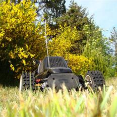 Buggy Carson Attack (solgt)