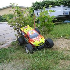 Off-Roader Cheetah Truggy Beetle