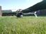 Helikopter Hirobo Shuttle Sceadu Evo