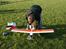 Fly Graupner Taxi II