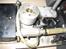 Bil Graupner F1 solgt - HB 21 motor. 79,8 km/t v. 25000 omdr/min