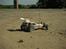Buggy traxxas bandit xl5
