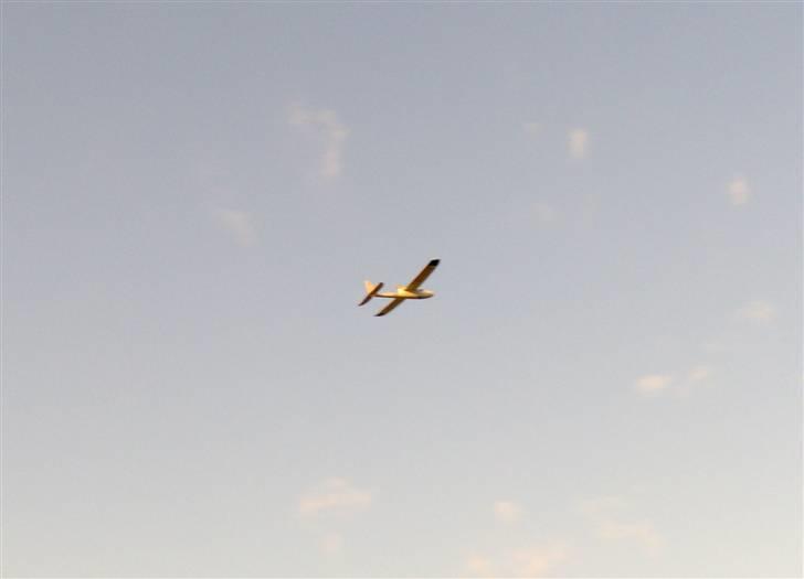 Fly Multiplex Easystar billede 15