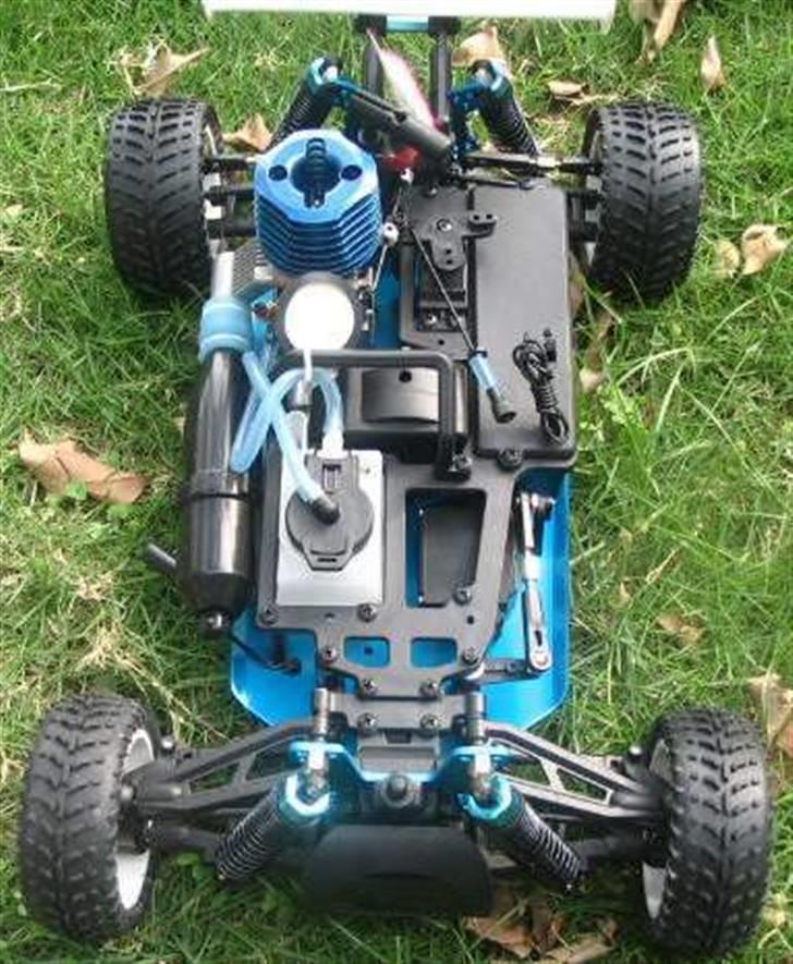 Bil leupard buggy nitro billede 6