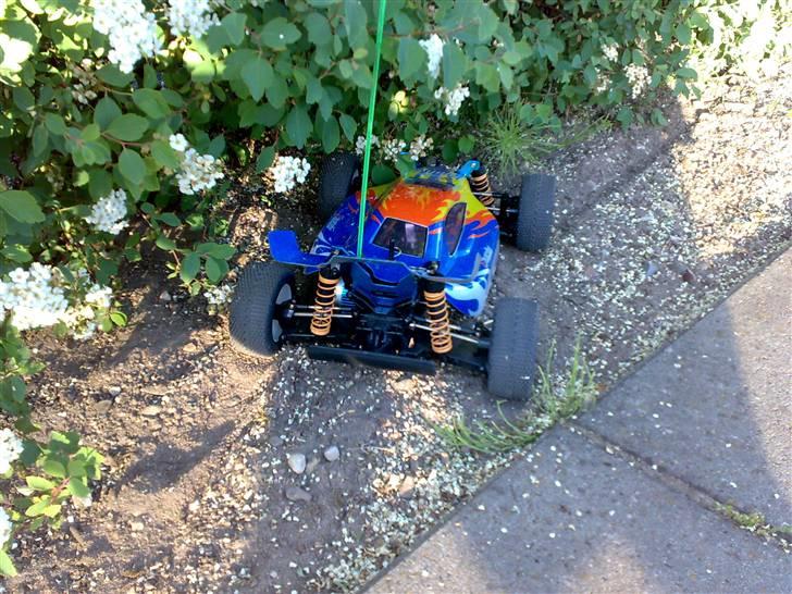 Buggy HBX MAX Buggy XTi - holder i hæk billede 8