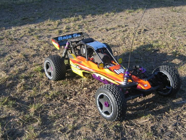 Buggy Baja 5b - Ensom majestæt billede 15