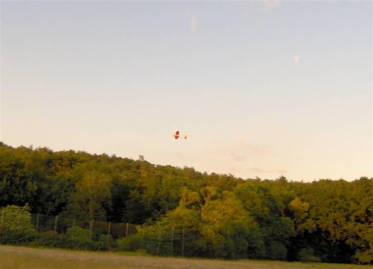 Fly Multiplex Easystar billede 17