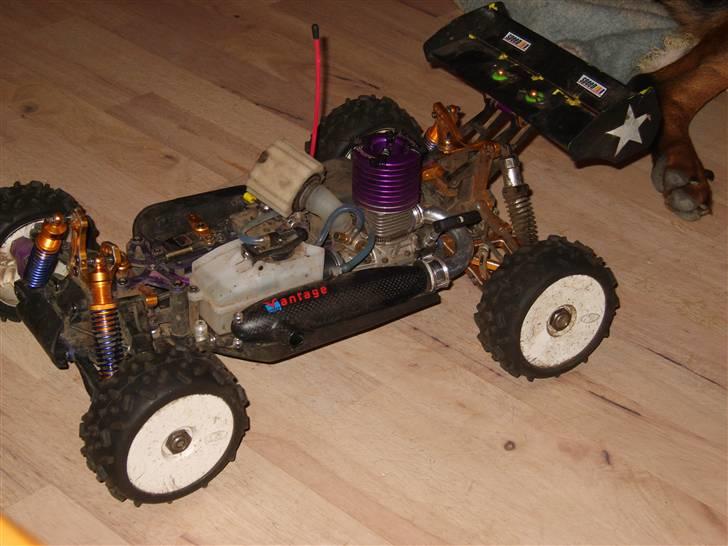 Buggy Bazooka pro (Solgt) - her er den så ved siden af den dejlige dumme hund.. :) billede 12