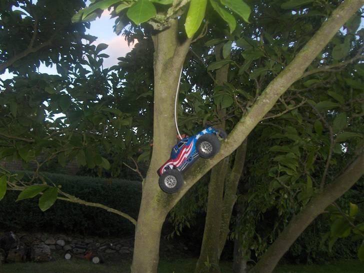 Off-Roader RC18MT Byttet ! - RC18MT på afveje  billede 14