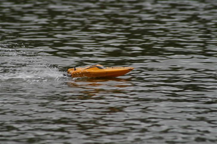 Båd Gecko billede 7