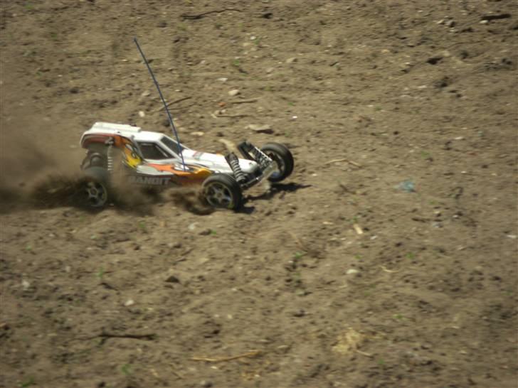 Buggy traxxas bandit xl5 billede 7