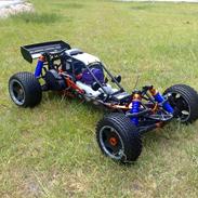 Buggy Baja 5b SS (SOLGT)