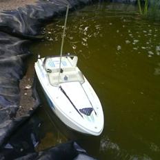 Båd Nikko Sea Ray "smadret"