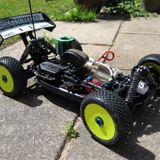 Buggy Team Associated RC8 FT