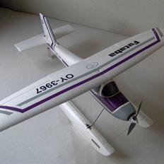 Fly Multiplex MiniMag