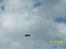 Fly Extra 330L
